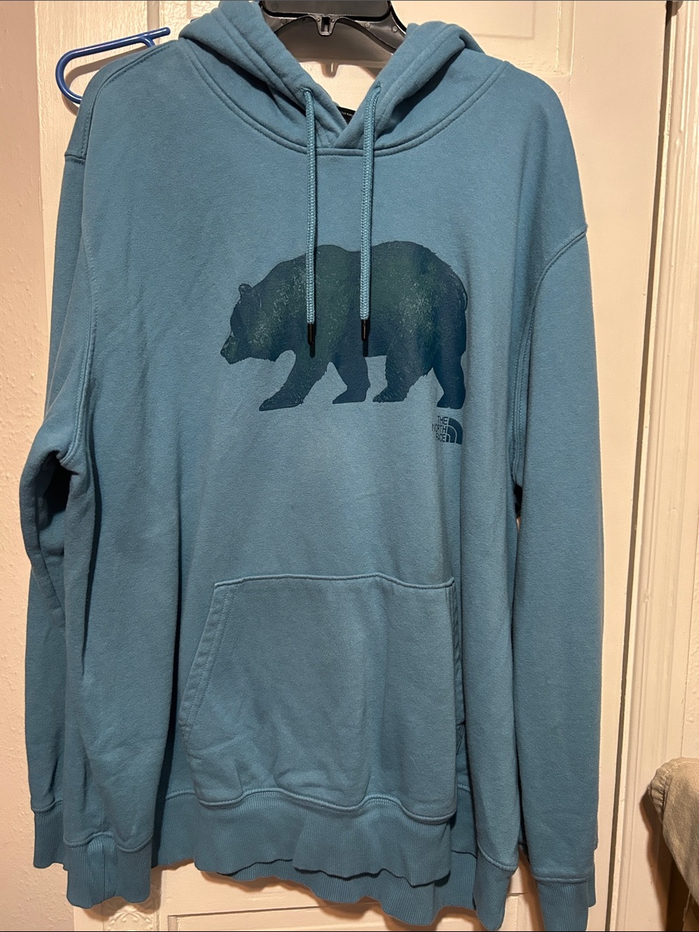 The North Face Men's Teal Blue Bear Graphic Crewneck Hoodie